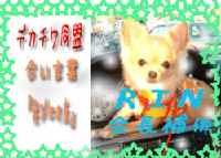 りん