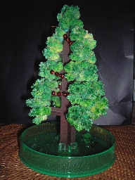 magic tree2