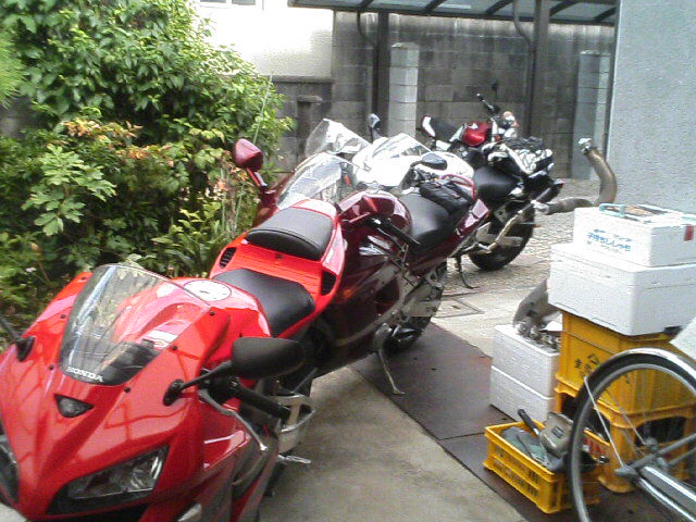 TS320801.JPG