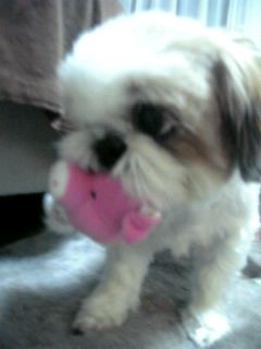 06-11-11_00-06.jpg