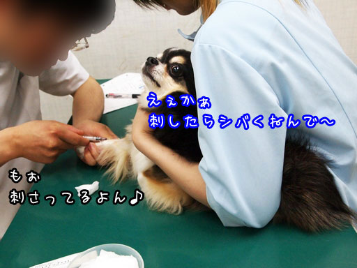 2011-6-21-13.jpg