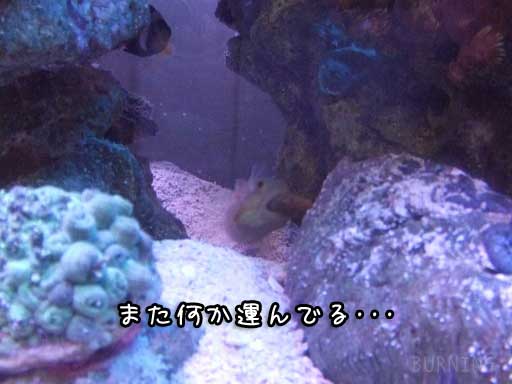 2010-10-05-16.jpg