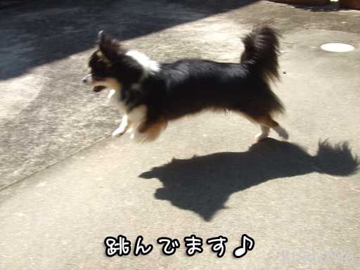 2010-10-05-8.jpg