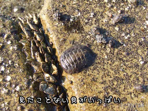 2010-10-13-15.jpg