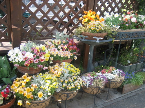 ２００８．４ 027-1.jpg