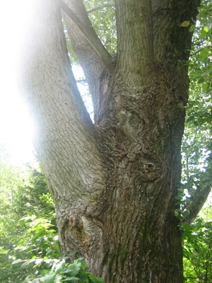 ２００９．８．２６・２７北海道 097-2.jpg