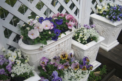 ２００８．４ 012-1.jpg