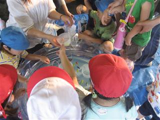 IMG_8868_R.jpg
