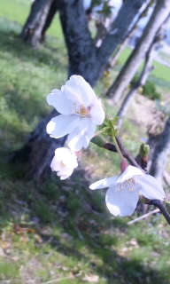 2010-04-07 10:09:44