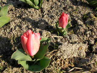 Sany0006.jpg