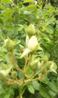 2010-05-10 10:36:38