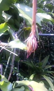 2010-07-29 13:29:36