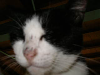 Sany0021.jpg