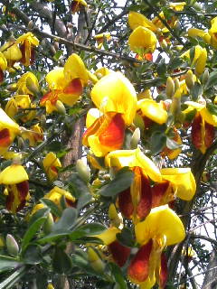 2008-04-30 13:20:34