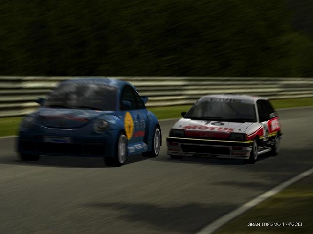 IMG0155.JPG