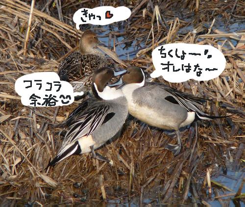 意外にたのしそう