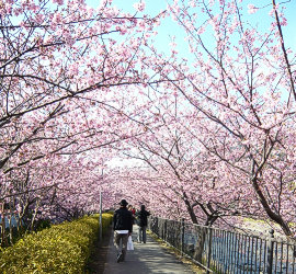 トンネルはどこまでも