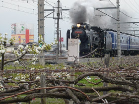 少し早い…