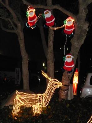 サンタさん、木に登る。