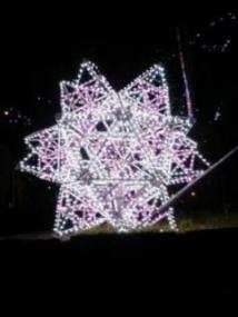 ホワイトちゃん