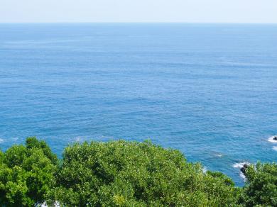 どこまでも太平洋