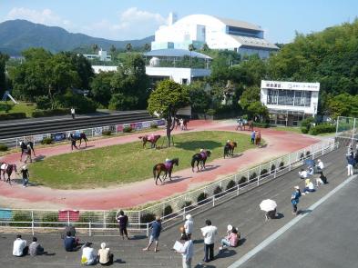 パドック in 高知競馬場