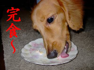 完食