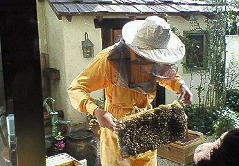 養蜂場