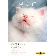 寝ん猫.jpg