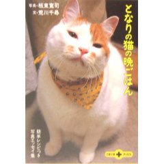 猫の晩ごはん.jpg