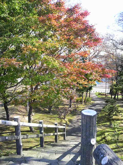 2011　紅葉　神社前.jpg