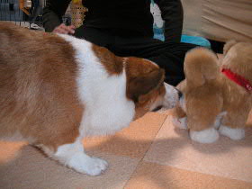 PICT0852.JPG