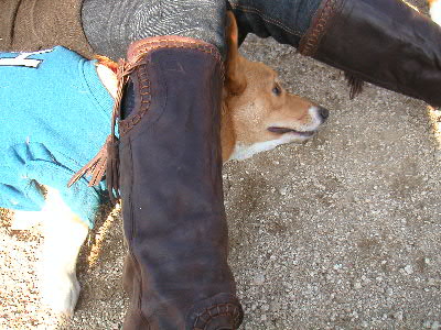 PICT1020.JPG