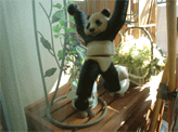 panda01.gif