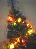 adventotree02.jpg