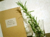 rosemary01.gif