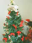 christmas-kai03.jpg