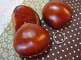 chestnuts02.jpg