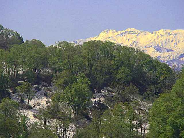 tkDsc02085.jpg