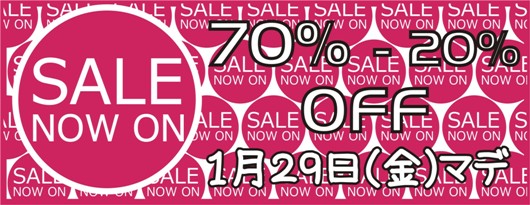 SALE2010JAN.jpg