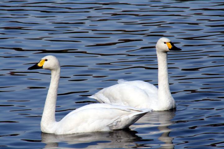 image6219.jpg