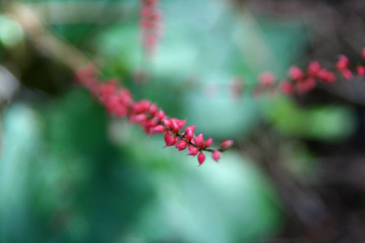 image5366.jpg
