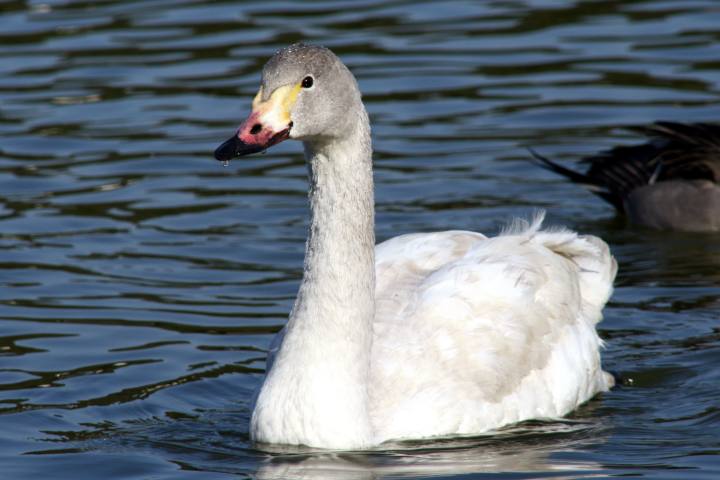 image6259.jpg