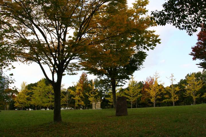 image5585.jpg