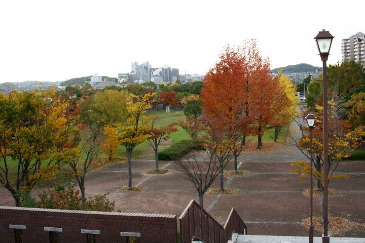 image5832.jpg