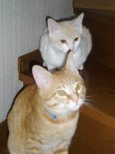 サイズ変更回転07.3.25 026.jpg