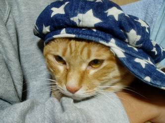 きにいらんのぅ