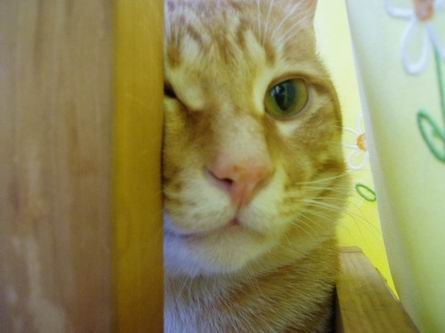 とても直視できないぃぃぃ