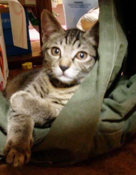 らぶりーだや～ん♪