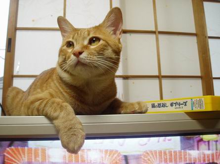 可愛く撮れたっ